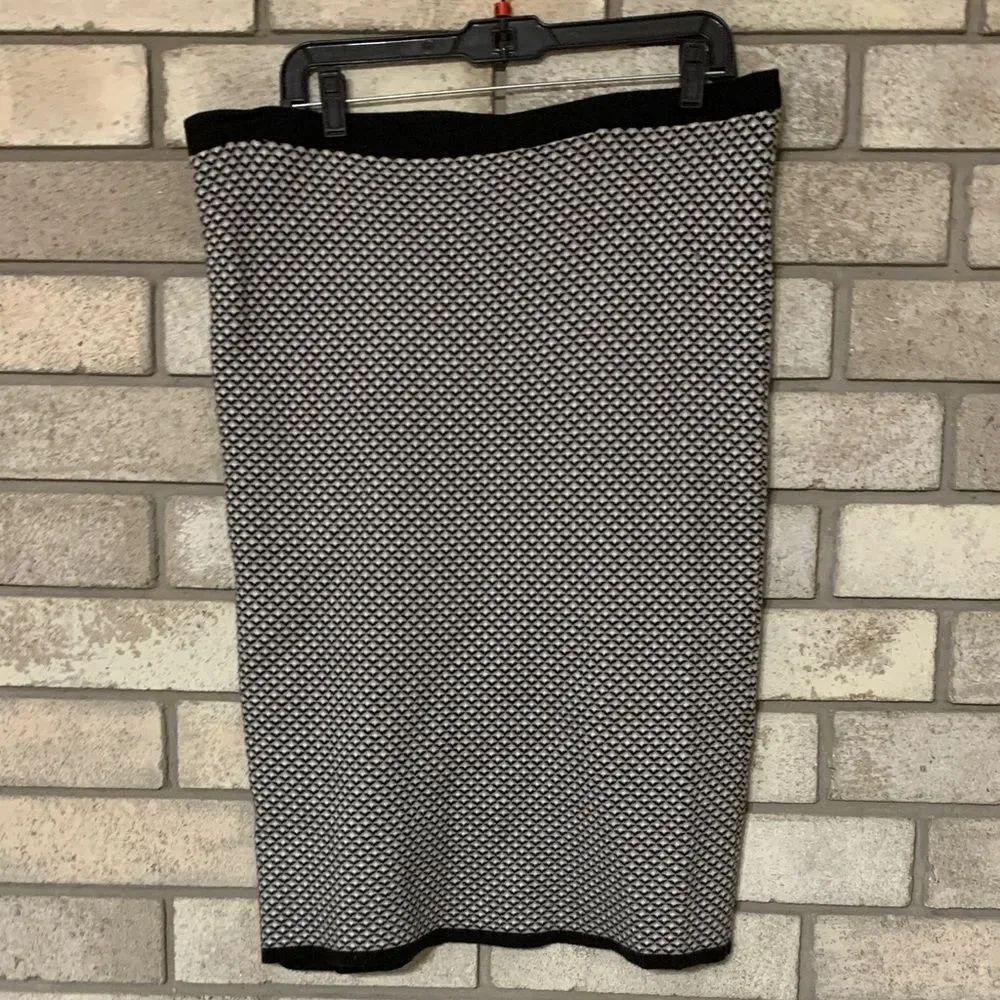 3for$20 skirt xl